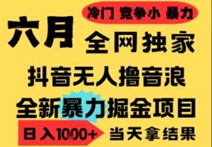 25年6月高爆抖音无人直播最新撸音浪掘金项目,小白可做,无脑日入1k+,门槛低可批量矩阵【揭秘】-网赚资源网