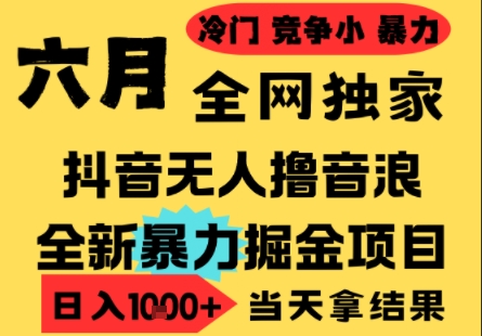 25年6月高爆抖音无人直播最新撸音浪掘金项目，小白可做，无脑日入1k+，门槛低可批量矩阵【揭秘】 - 网赚资源网-网赚资源网