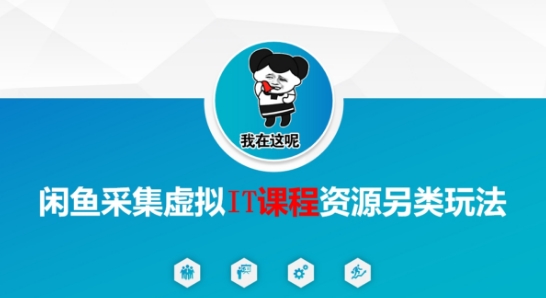 闲鱼采集虚拟IT课程资源另类玩法，干货满满 - 网赚资源网-网赚资源网