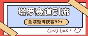 小红书某音塔罗赛道引流获客 自热矩阵日引200+【揭秘】-网赚资源网
