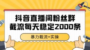 抖音直播间粉丝群暴力截流,一台电脑每天稳定2000条数据【揭秘】-网赚资源网