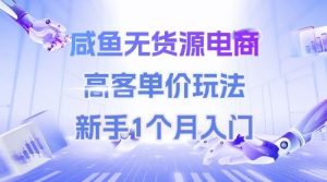 咸鱼无货源电商,高客单价玩法,新手1个月入门-网赚资源网