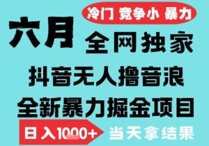 2025年6月高爆抖音无人直播最新撸音浪掘金项目,无脑日入1k+,低门槛小白可做,可矩阵放大【揭秘】-网赚资源网