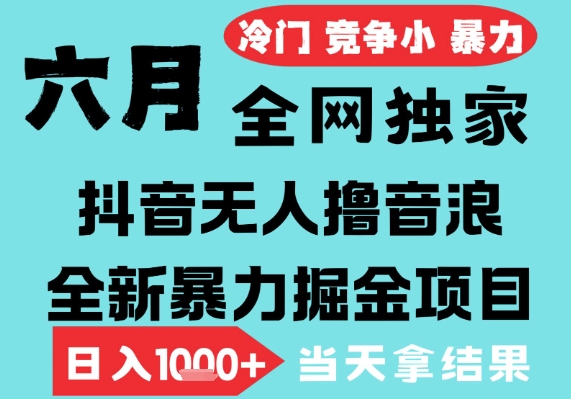 2025年6月高爆抖音无人直播最新撸音浪掘金项目，无脑日入1k+，低门槛小白可做，可矩阵放大【揭秘】 - 网赚资源网-网赚资源网