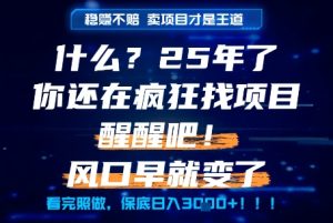 什么?25年你还在疯狂找项目做,醒醒吧,看完这些你全都懂了!【揭秘】-网赚资源网