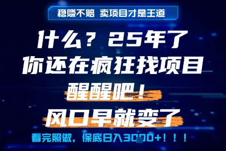 什么？25年你还在疯狂找项目做，醒醒吧，看完这些你全都懂了！【揭秘】 - 网赚资源网-网赚资源网