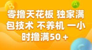 零撸天花板，独家满包技术，不用养机，一小时撸满50+，收益稳定【揭秘】-网赚资源网