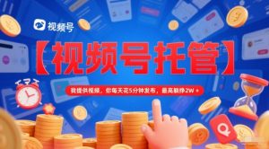 【视频号托管 】我提供视频,你每天花5分钟发布,最高躺挣2W+【揭秘】-网赚资源网