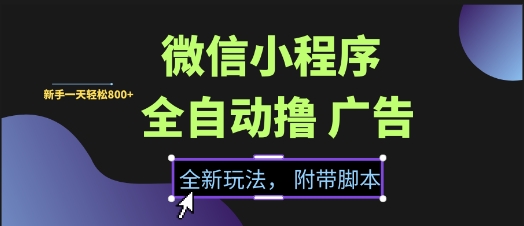 微信小程序全自动撸广告项目，彻底解决没流量的问题，新手一天8张+【揭秘】 - 网赚资源网-网赚资源网