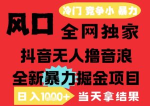 25年6月高爆抖音无人直播最新撸音浪掘金项目,解放双手小白可做,无脑日入1k+,门槛低【揭秘】-网赚资源网