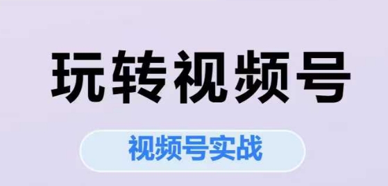 玩转视频号，视频号实战系列课 - 网赚资源网-网赚资源网