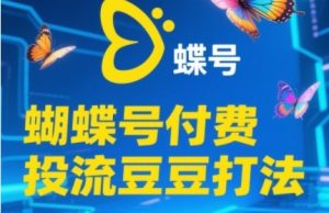 2025蝴蝶号付费投流豆豆打法，助新手快速掌握付费流量撬动自然流的核心玩法-网赚资源网
