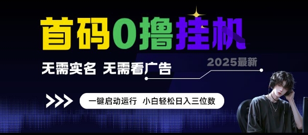 首码0撸挂G项目，无需实名无需看广告 一键启动运行，小白轻松日入三位数【揭秘】 - 网赚资源网-网赚资源网