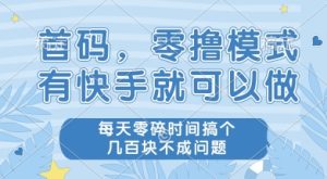 首码零撸项目,有快手就可以做,每天业务时间搞个几张不是问题【揭秘】-网赚资源网
