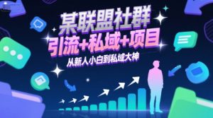 某联盟社群，引流+私域+项目，从新人小白到私域大神-网赚资源网