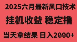 2025六月最新风口技术,无人挂G撸礼物,长期稳定 一个小时收益2k+,小白当天拿结果【揭秘】-网赚资源网