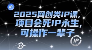 2025网创类IP课,项目会死IP永生,可操作一辈子-网赚资源网