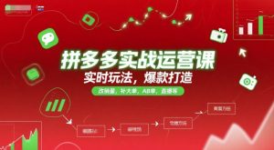 拼多多实战运营课,实时玩法,爆款打造,改销量,补大单,AB单,直播等(更新2025月)-网赚资源网