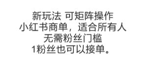 可矩阵操作,小红书商单新玩法,适合所有人,无需粉丝门槛,1粉丝也可以接单-网赚资源网