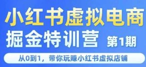 小红书虚拟电商掘金特训营第1期，从0到1，带你玩转小红书虚拟店铺 - 网赚资源网-网赚资源网