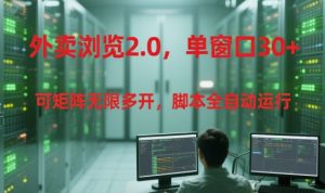 外卖浏览2.0，单窗口30+可矩阵无限多开，脚本全自动运行【揭秘】 - 网赚资源网-网赚资源网