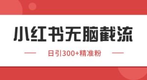 小红书截流同行客源,独家野路子获客玩法 日引200+暴力获客【揭秘】-网赚资源网
