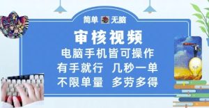审核视频,电脑手机皆可操作,有手就行,几秒一单,不限单量,多劳多得【揭秘】 - 网赚资源网-网赚资源网
