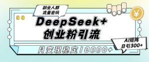 DeepSeek+创业粉精准引流，全新分享课4.0玩法，AI矩阵日引300+，多种变现方式，稳定月入1W-网赚资源网
