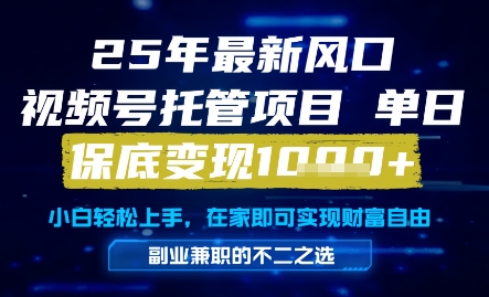 25年最新风口，视频号托管项目，单日保底变现1k+，手把手教学【揭秘】 - 网赚资源网-网赚资源网