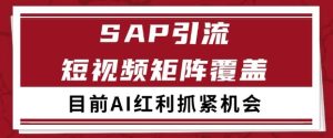 小红书某音sap赛道引流获客 自热矩阵日引200+【揭秘】-网赚资源网