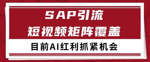 小红书某音sap赛道引流获客 自热矩阵日引200+【揭秘】 - 网赚资源网-网赚资源网