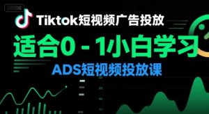 Tiktok短视频广告投放，适合0-1小白学习ADS短视频投放课 - 网赚资源网-网赚资源网