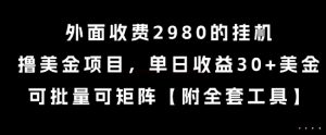 外面收费2980的挂G撸美金项目，单日收益30+美金，可批量可矩阵【揭秘】 - 网赚资源网-网赚资源网