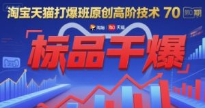 淘宝天猫打爆班原创高阶技术第70期：标品干爆 - 网赚资源网-网赚资源网