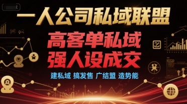 一人公司私域联盟，高客单私域，强人设成交，建私域 搞发售 广结盟 造势能 - 网赚资源网-网赚资源网