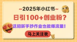 2025年小红书日引100+创业粉?这招新手抄作业也能爆流量!-网赚资源网