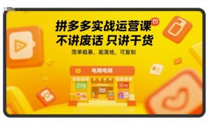 拼多多实战运营课，不讲废话只讲干货，简单粗暴，能落地，可复制 - 网赚资源网-网赚资源网