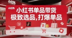 小红书单品带货，极致选品，打爆单品 - 网赚资源网-网赚资源网