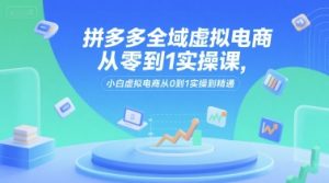 拼多多全域虚拟电商从零到1实操课，小白虚拟电商从0到1实操到精通 - 网赚资源网-网赚资源网