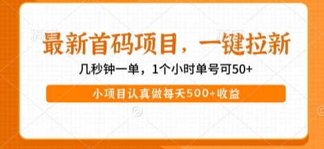 最新首码项目，操作最简单，收益高，一键拉新，1个小时单号可50+，小项目认真做每天5张+收益【揭秘】 - 网赚资源网-网赚资源网