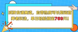 减肥食谱赛道,自带热度可长期运营,养老玩法,单日轻松搞定769 - 网赚资源网-网赚资源网