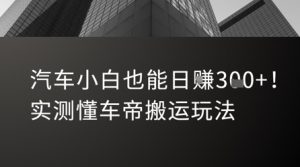 汽车小白也能日入3张！实测懂车帝搬运玩法 - 网赚资源网-网赚资源网