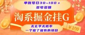 淘系掘金挂G项目，单账号日收益30~100+，多号多得，一个做了就有的项目【揭秘】 - 网赚资源网-网赚资源网