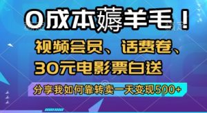 0成本薅羊毛!视频会员、话费卷、30元电影票白送，分享我如何靠转卖一天变现5张+【揭秘】 - 网赚资源网-网赚资源网