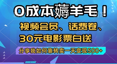 0成本薅羊毛!视频会员、话费卷、30元电影票白送，分享我如何靠转卖一天变现5张+【揭秘】 - 网赚资源网-网赚资源网