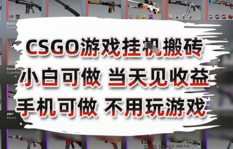CSGO游戏挂G搬砖，小白纯手机即可操作，不用电脑打游戏，日入3张+，副业网创项目【揭秘】 - 网赚资源网-网赚资源网