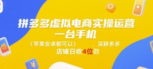 拼多多虚拟电商实操运营,一台手机(苹果安卓都可以),深耕多多店铺日收4位数-网赚资源网
