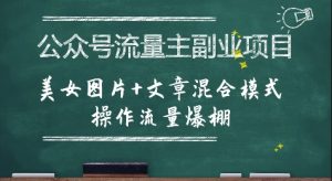 公众号流量主副业项目，美女图片+文章混合模式操作流量爆棚-网赚资源网