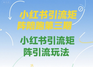 小红书引流矩阵陪跑第三期，小红书引流矩阵引流玩法-网赚资源网