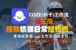 COZE(扣子)工作流一键生成爆款橘猫日常短视频，保姆级教程，零基础快速入门 - 网赚资源网-网赚资源网
